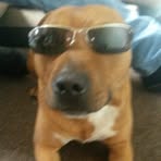 Paul Layden Layden - Facebook