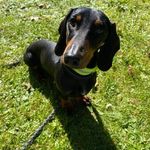 Anja Zentgraf - @paul_leadership_wiener - Instagram