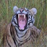 Paul Leader - @leader3608 - Instagram