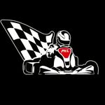 Paulista Kart League - @paulistakartleague - Instagram
