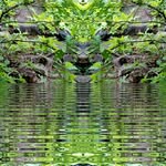paul leatham - @paul.leatham - Instagram