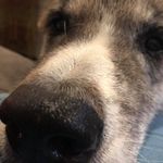 Paul Lebovitz - @paul.lebo - Instagram