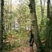 Paul Lecours - Facebook