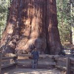 Paul Legault - @paul_legault3 - Instagram