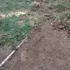 Paul Lemus - @paullemus0983 - TikTok