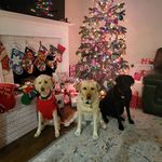 Paul Leonhardt - @leonhardt.paul - Instagram