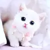 paulblessing541 - @paulblessing3 - TikTok