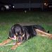 Paul Lessman - Facebook