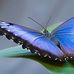 Paul Levert - Facebook