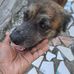 Paul Levite - Facebook