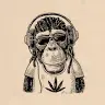 Paul Leyh - @paulleyh - TikTok