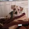 paullia88 - @paullia88 - TikTok