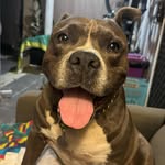 Paul Liddiard - @paulliddiard - Instagram