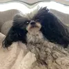 Paulie_derpy - @paulie_derpy - TikTok