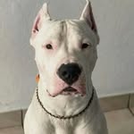 Paul Liendo - @liendo.paul - Instagram