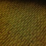 Paul Lies - @penguin356 - Instagram