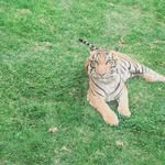 Paul Limascca - @paul_limascca - Instagram