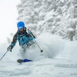 Paul Limburg - @paullimburg - Instagram