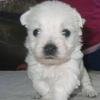 Paula Limmer - @paula.limmer - TikTok