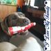 Paula Lingerfelt - Facebook