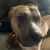 paullingo1 - @paullingo1 - TikTok