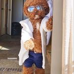 Paul Linney - @gingaferret123 - Instagram