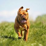 Paul Linney - @plnnynufc - Instagram