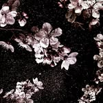 @paul_lisay - Instagram