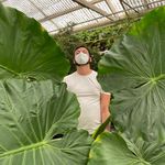 Paul Llamas-Cuevas - @pauleesplants - Instagram