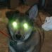 Paul Locklear - Facebook