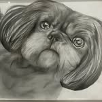 Paul Loder - @paul.and.tedster - Instagram