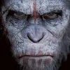 Paul Longworth - @paulkicker - TikTok