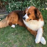 Paul Loomans - @loomanspaul - Instagram