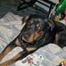 Paul Loren - Facebook