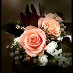 Paul loscher - @paull.oscher - Instagram