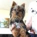 Paul Lovato - Facebook