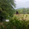 Paul Lowman - @paul.lowman - TikTok