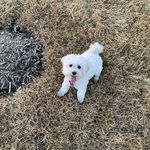 Paul Lucente - @lucentepaul - Instagram