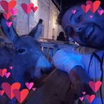 Paul Lucey - @paul.lucey.739 - Instagram