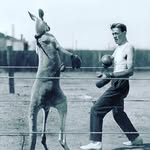 Paul Byrne - @paullukebyrne_ - Instagram