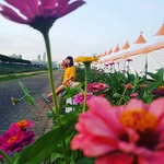Paul Luong - @pauluong - Instagram