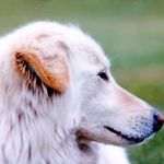 Paul Lykins - @paul.lykins.3 - Instagram