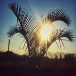 Paul Mackay - @paul_rules_rock - Instagram