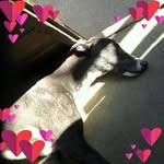 Paul Maclachlan - @paul.maclachlan.359 - Instagram