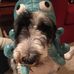 Paul William MacPhee - Facebook