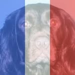 Paul Macpherson - @paul.macpherson.311 - Instagram