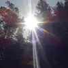 Paul Maddocks - @user510913241 - TikTok