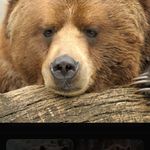 Paul Madej - @madejpaul - Instagram