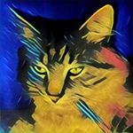Jacob Paul Maestas - @bugzbeardm - Instagram