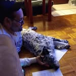 Paul Maestas - @maestaspg - Instagram